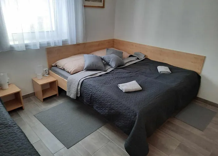 U Boure Apartment Zaječí